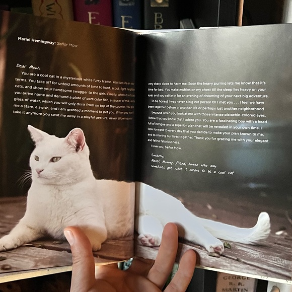 3 for $13 Cat book - Picture 2 of 3